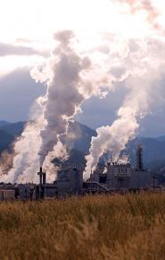 The Waxman-Markey climate bill includes a cap-and-trade system and significant subsidies to coal companies